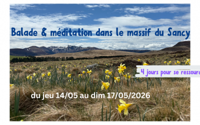 Balade et méditation dans le massif du Sancy