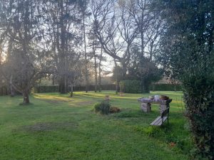 WhatsApp-Image-2025-04-10-a-13.16.00_4023497a