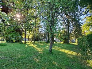 WhatsApp-Image-2025-04-29-a-10.16.45_943676ed