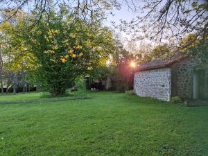 WhatsApp-Image-2025-04-29-a-10.16.46_c503091a