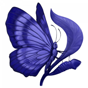 butterfly-detoure